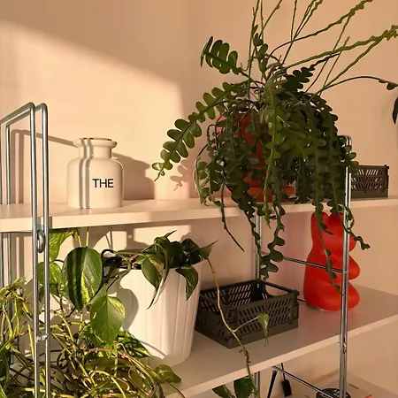 Dum S Terasou A Vyhledem Na Brnenskou Prehradu Holiday home *